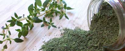 آویشن و پسرزایی